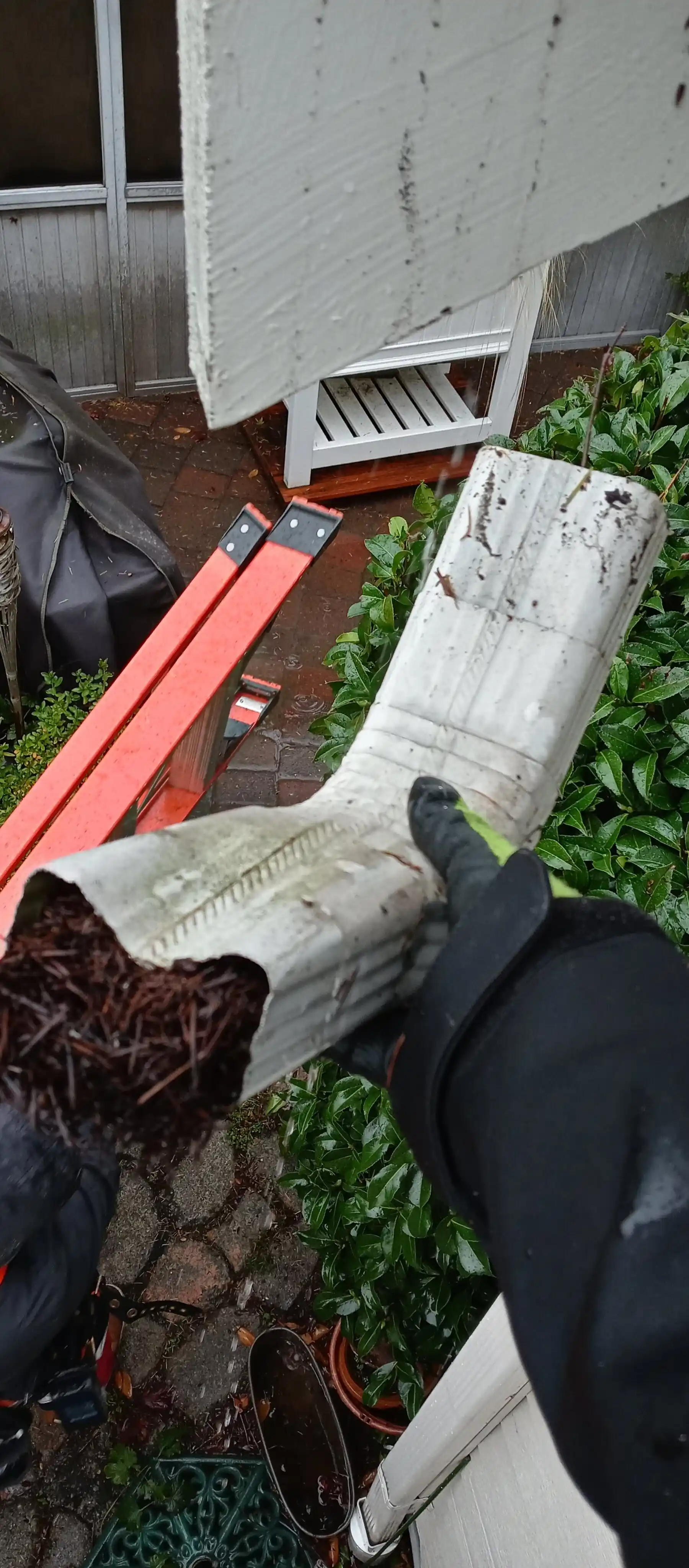 A Dissassembled downspout packed with debris