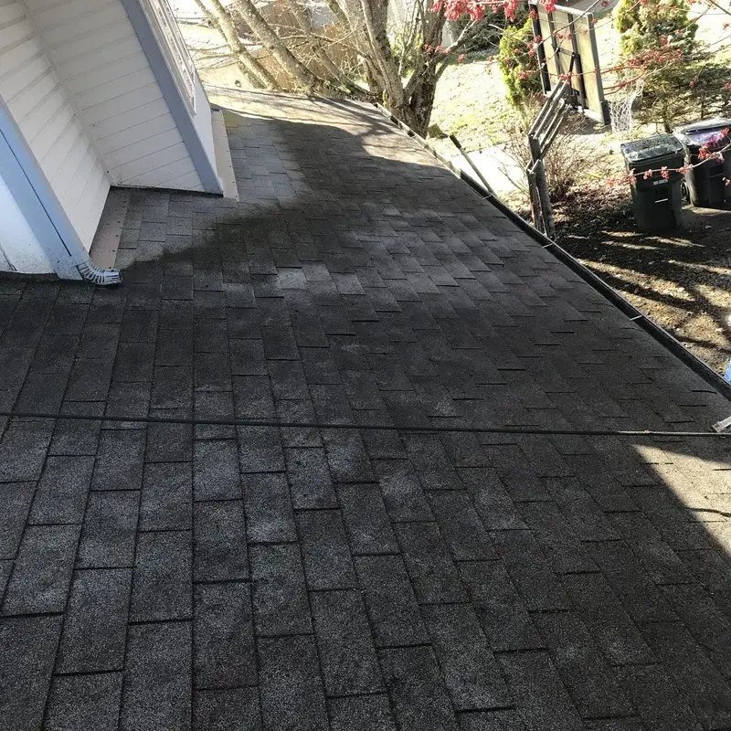 A roof that has just been cleaned of all it's moss.