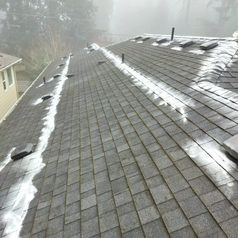A roof with moss treatment applied strategically.
