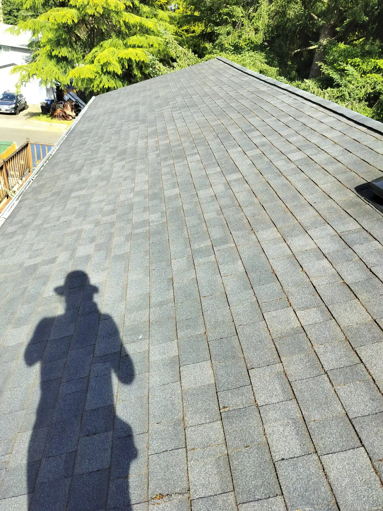 A roof recently cleaned by a professional.