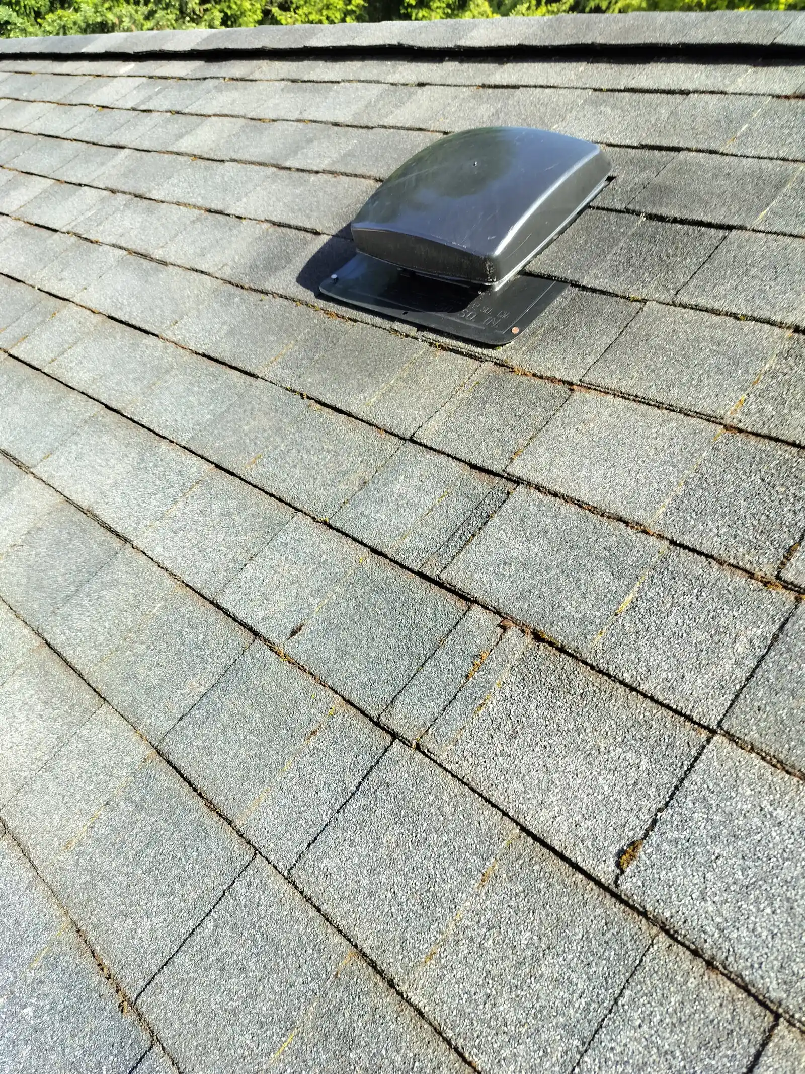 A roof recently cleaned by a professional.