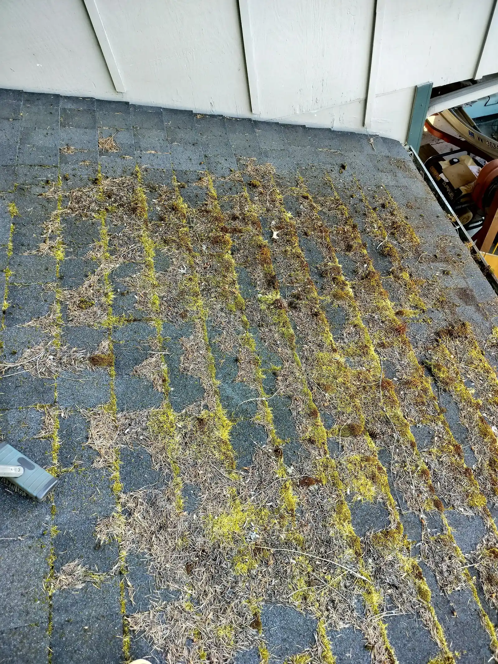 A mossy roof in need of cleaning