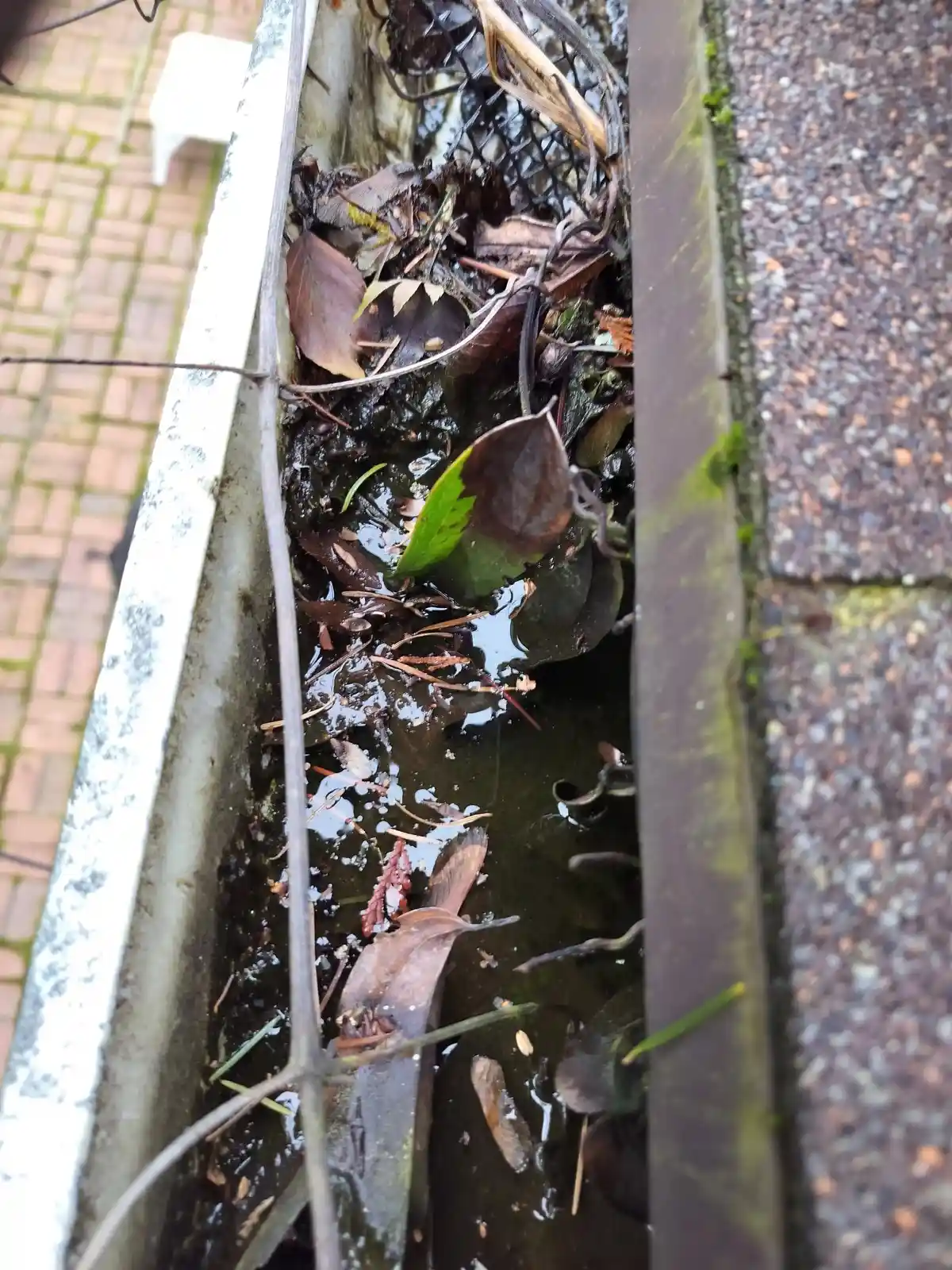 A gutter full of debris